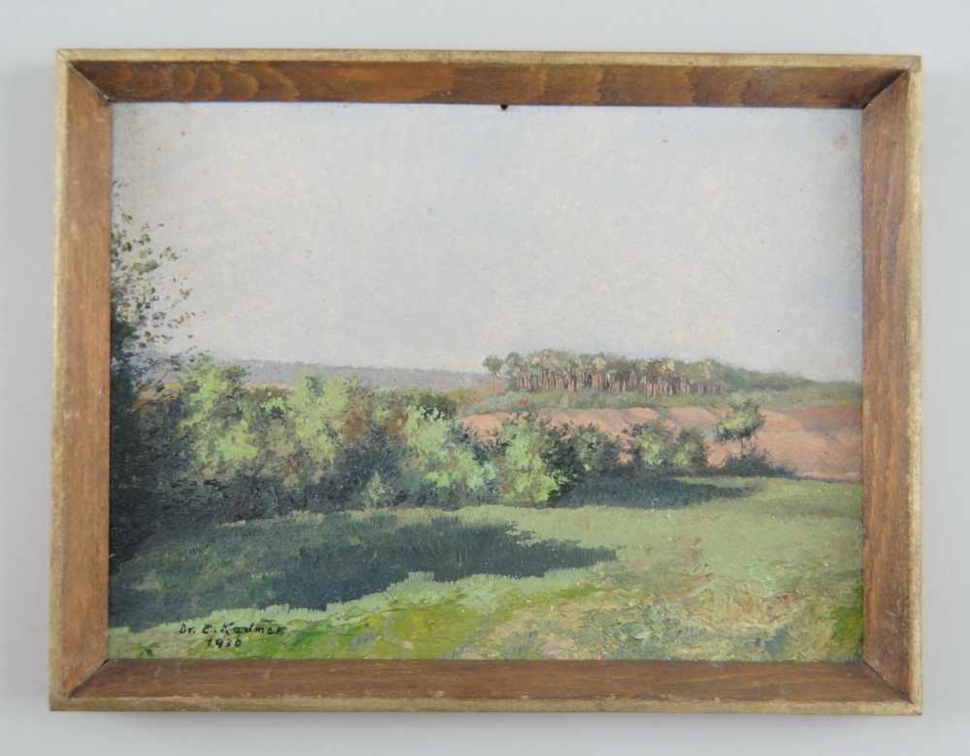 Landschaft, "Sonnenkuss", Öl auf Malkarton, verso bezeichnet, signiert, datiert, geramt,<