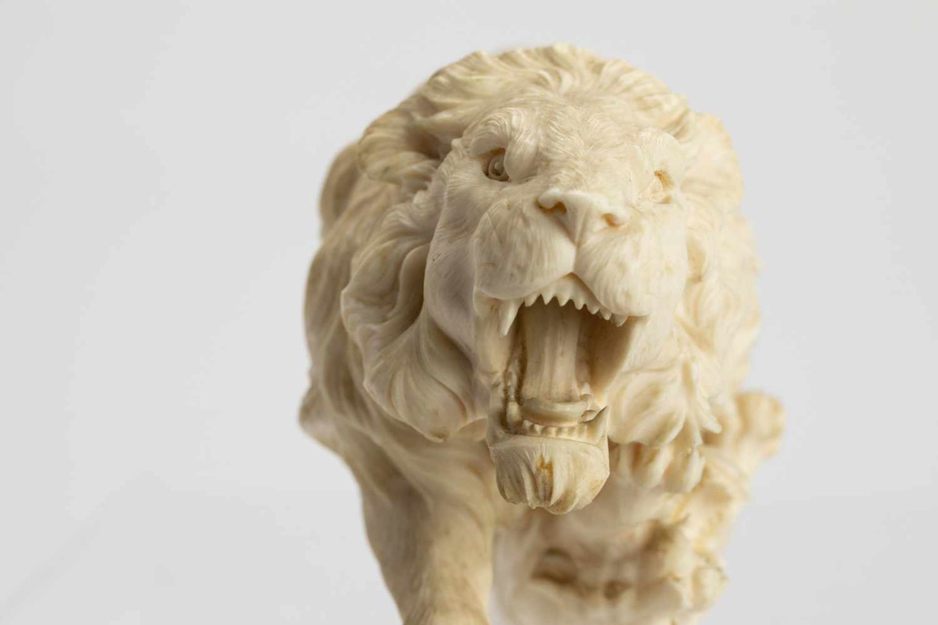 Pair of finely carved ivory lions - Bild 7 aus 8
