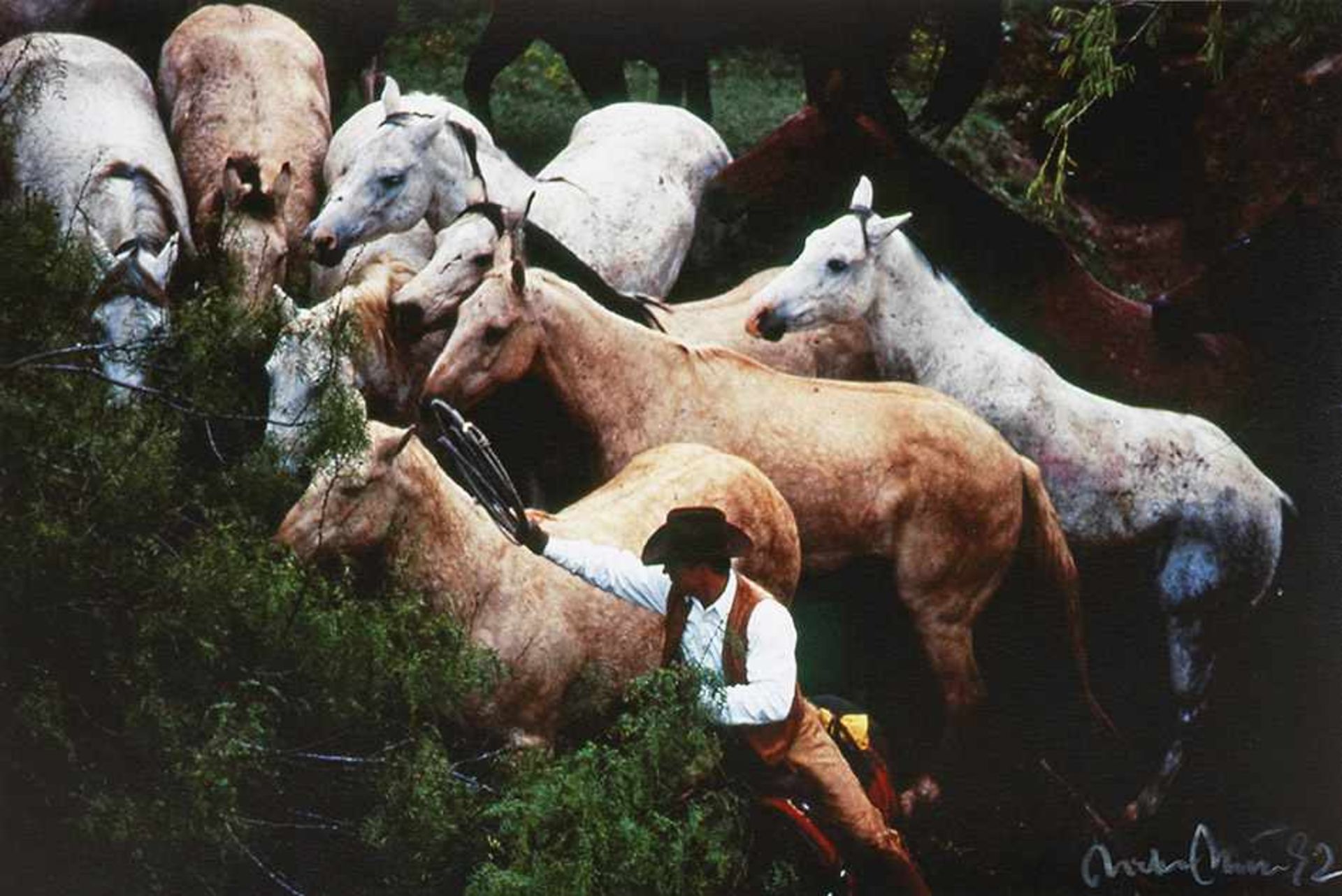 Dieter Blum(1936 Eßlingen am Neckar - Ansässig in Düsseldorf)Cowboy and HorsesFarb-Dieter Blum(