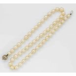 Klassische PerlenketteWeißgold, 18 ct.; Einreihige Kette aus weißen Perlen von ca. 7,6 mm in sehr