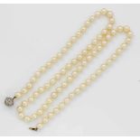 Klassische Akoya-PerlenketteWeißgold, 18 ct.; Einreihige Kette aus cremefarbenen Perlen von ca. 8,