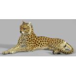 Liegender LeopardVollplastisch gestaltet mit naturalistisch staffierter Fellzeichnung in polychromer