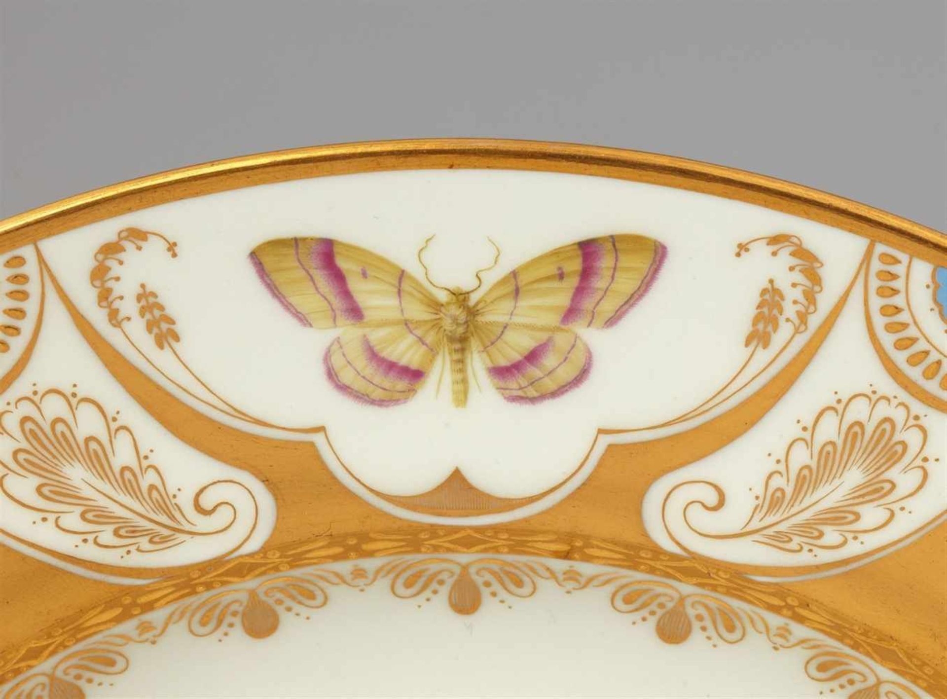 A Vienna porcelain plate with butterfliesShallow dish finely painted with naturalistic butterflies - Bild 19 aus 25