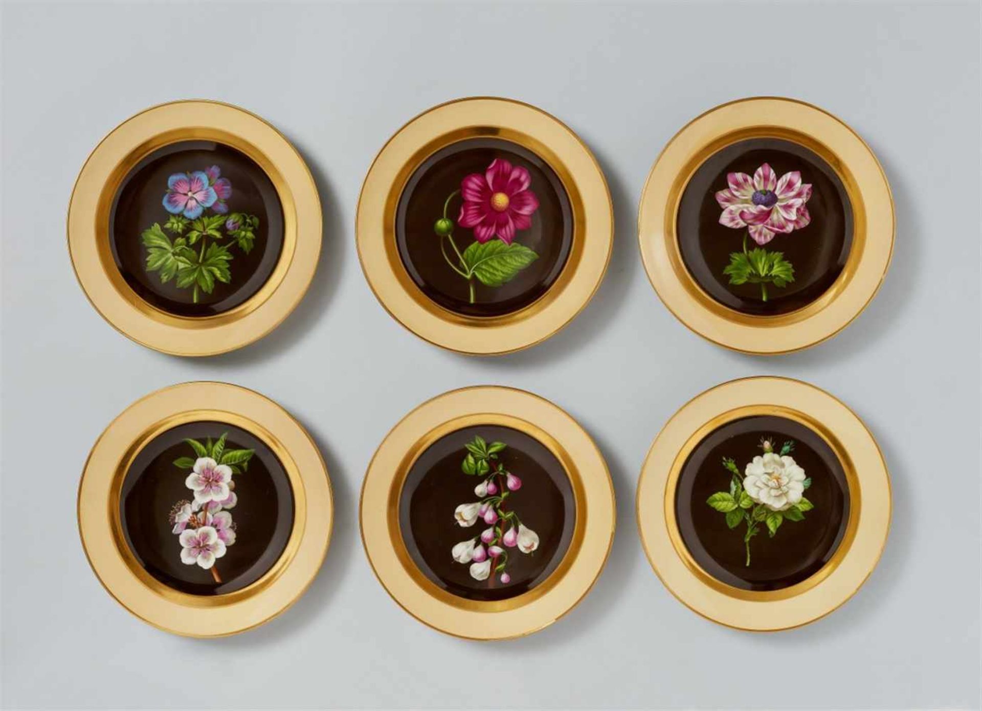 Six Vienna porcelain dinner plates with botanical motifsShallow dishes decorated with single flowers