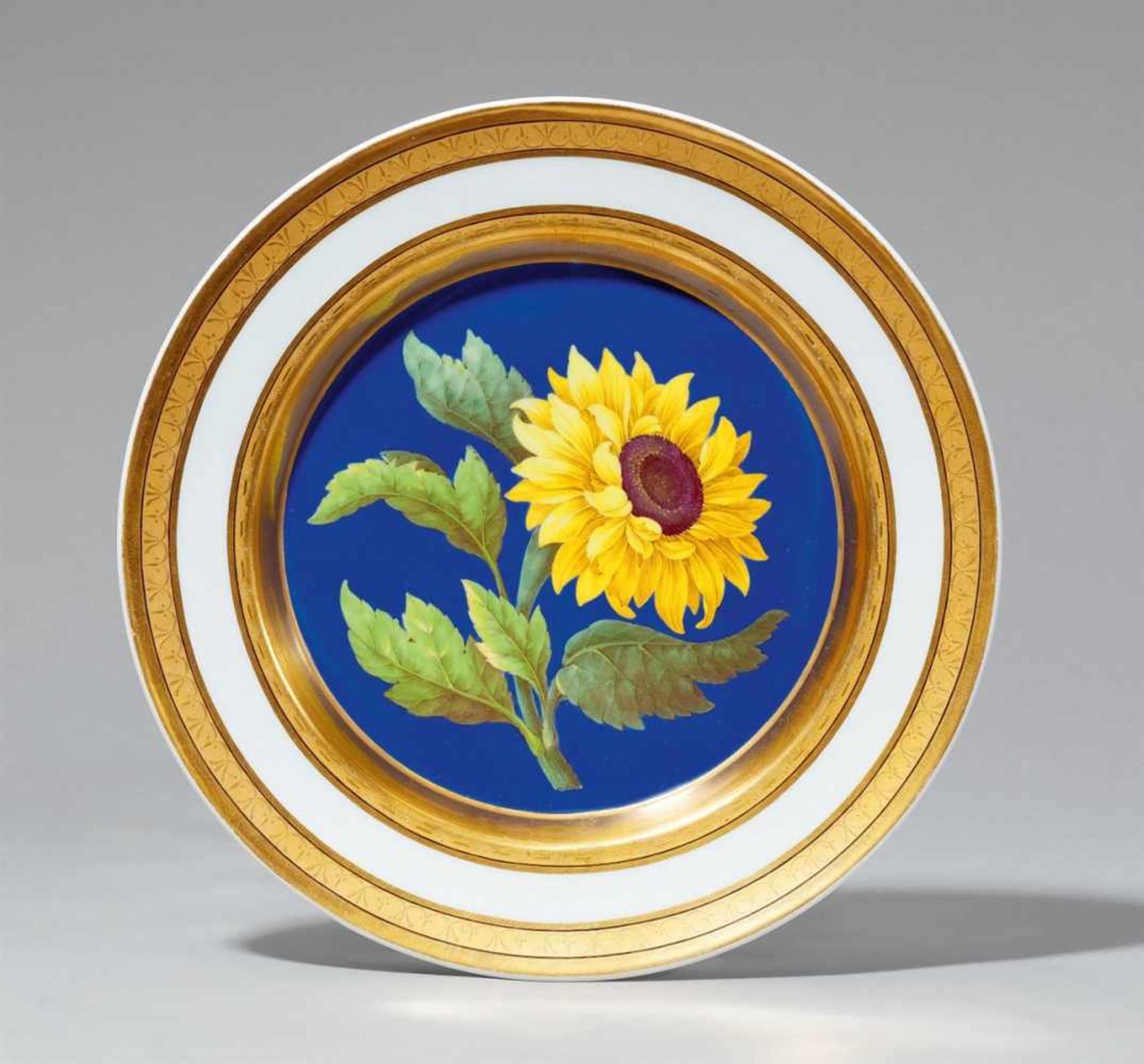 A Berlin KPM porcelain botanical plate with a sunflowerModel no. 1113. The well decorated with a