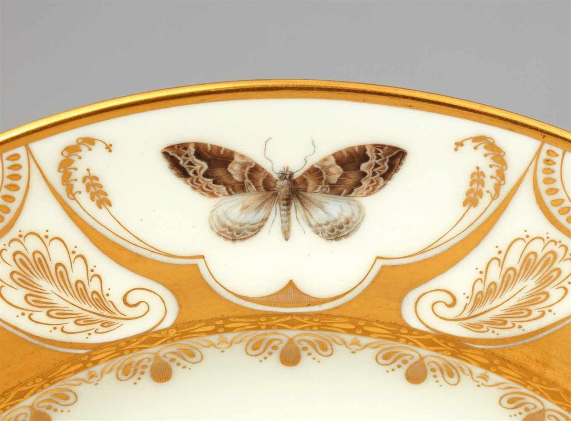 A Vienna porcelain plate with butterfliesShallow dish finely painted with naturalistic butterflies - Bild 5 aus 25