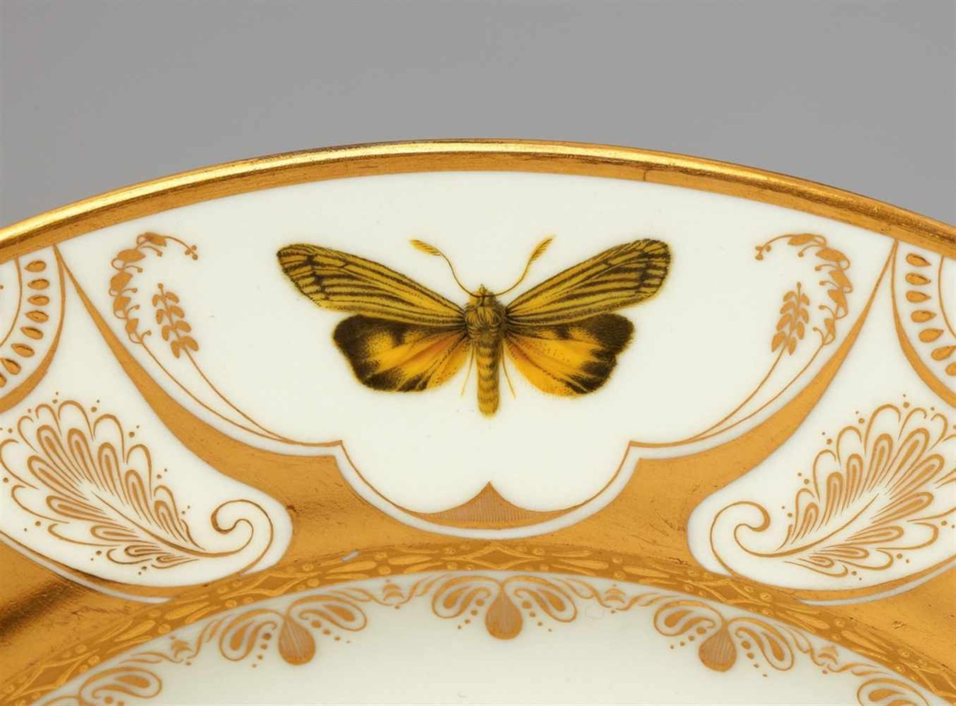 A Vienna porcelain plate with butterfliesShallow dish finely painted with naturalistic butterflies - Bild 14 aus 25