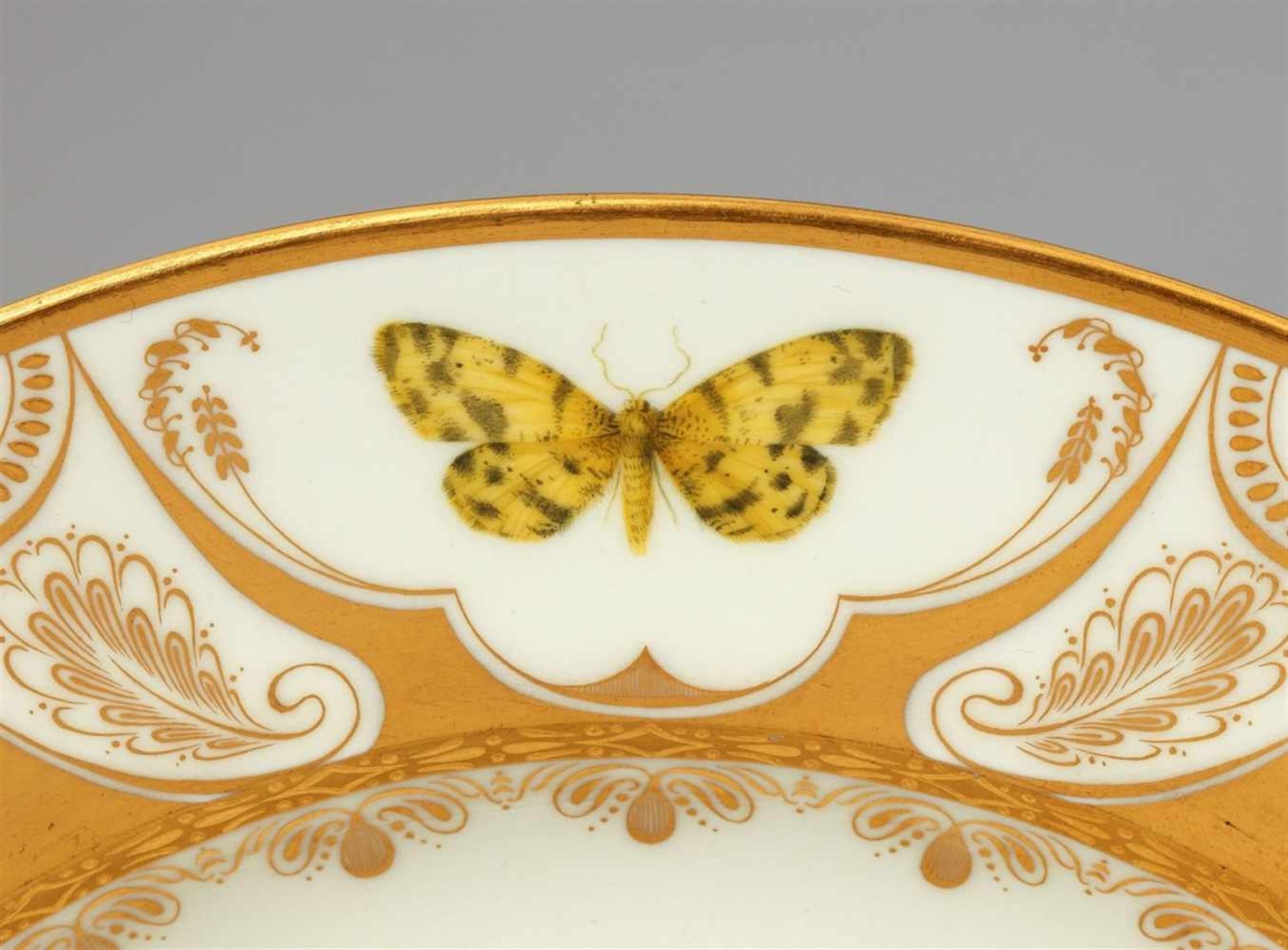 A Vienna porcelain plate with butterfliesShallow dish finely painted with naturalistic butterflies - Bild 3 aus 25