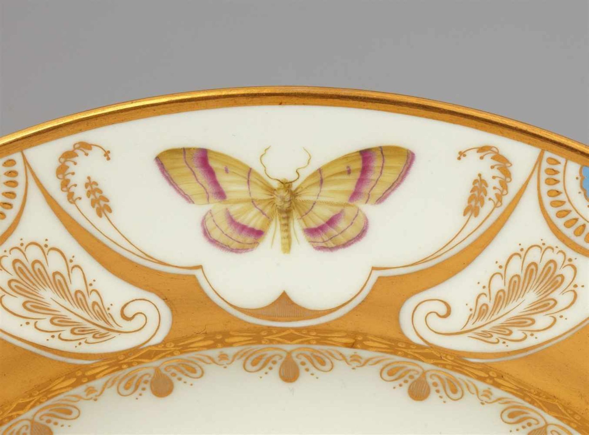 A Vienna porcelain plate with butterfliesShallow dish finely painted with naturalistic butterflies - Bild 7 aus 25