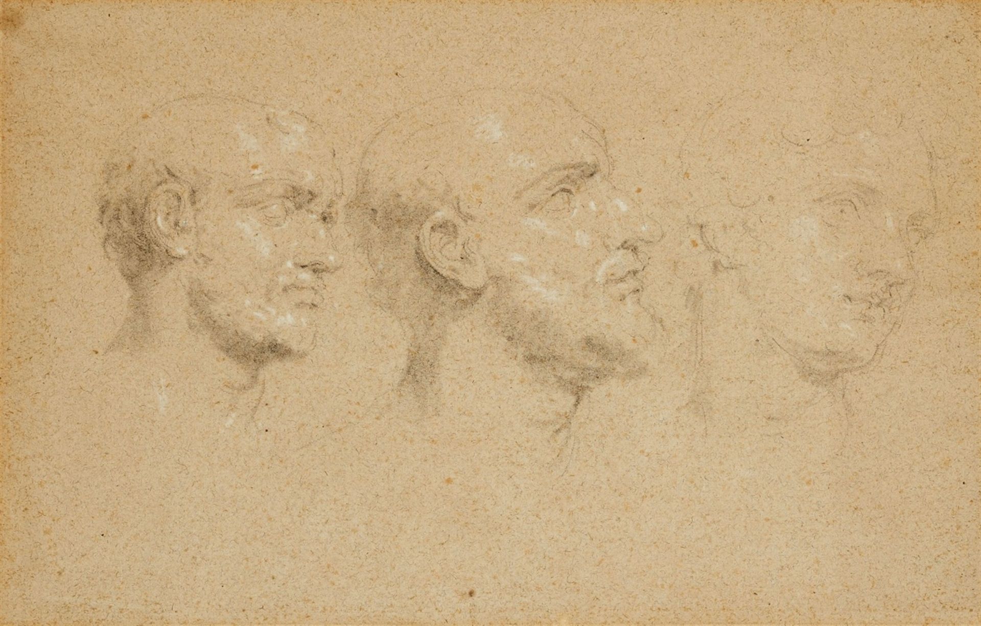 Pompeo Batoni, attributed toThree Studies of HeadsBlack and white chalk on tinted paper.. 25 x 39