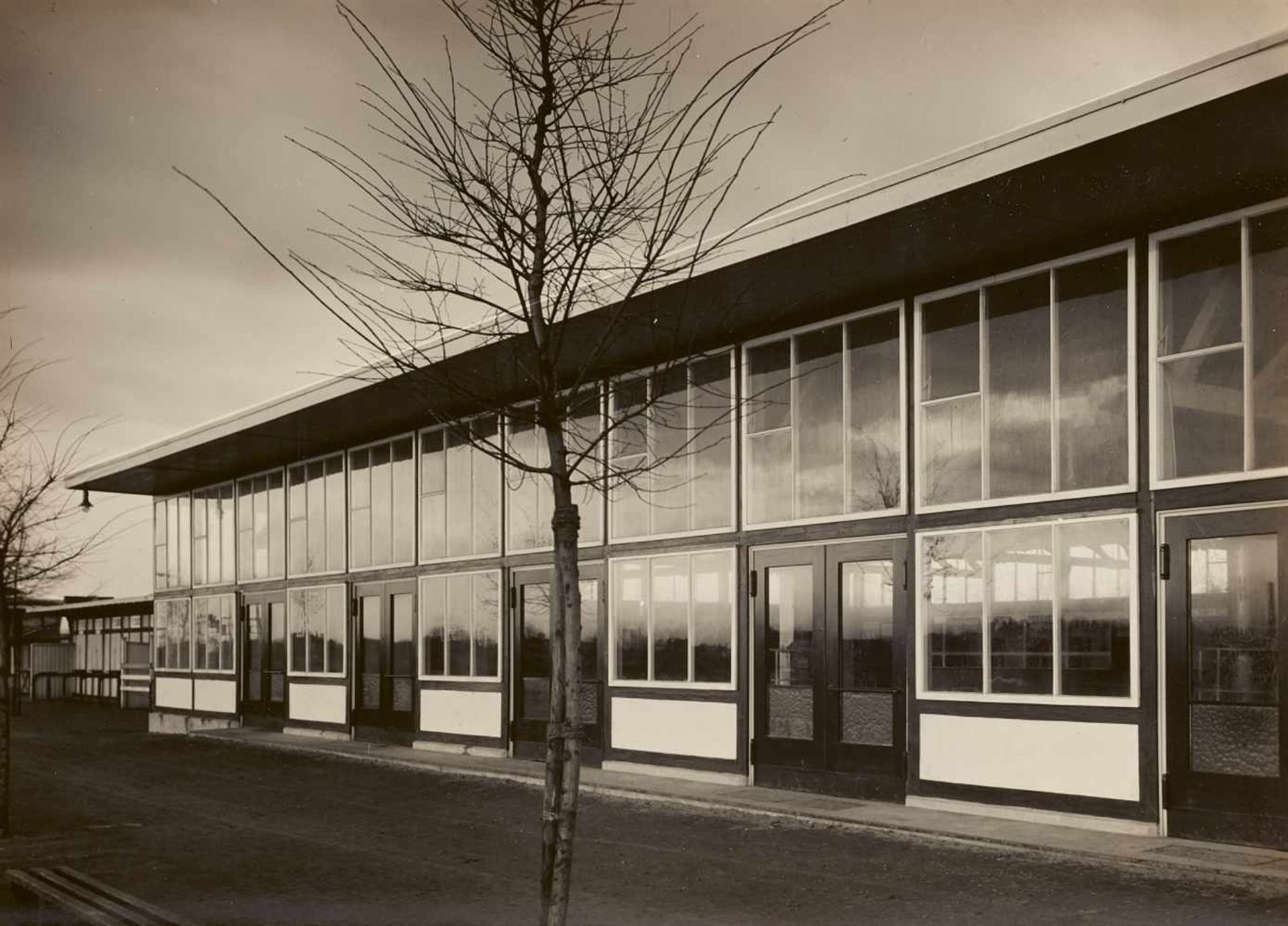 Ernst ScheelTrabrennbahn Farmsen, Hamburg10 Vintages, Gelatinesilberabzüge, davon 3 farbig - Bild 6 aus 16