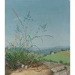Herbert BöttgerSommerliche Landschaft mit blühenden GräsernÖl auf Leinwand 44 x 38,7 cm Gerahmt.