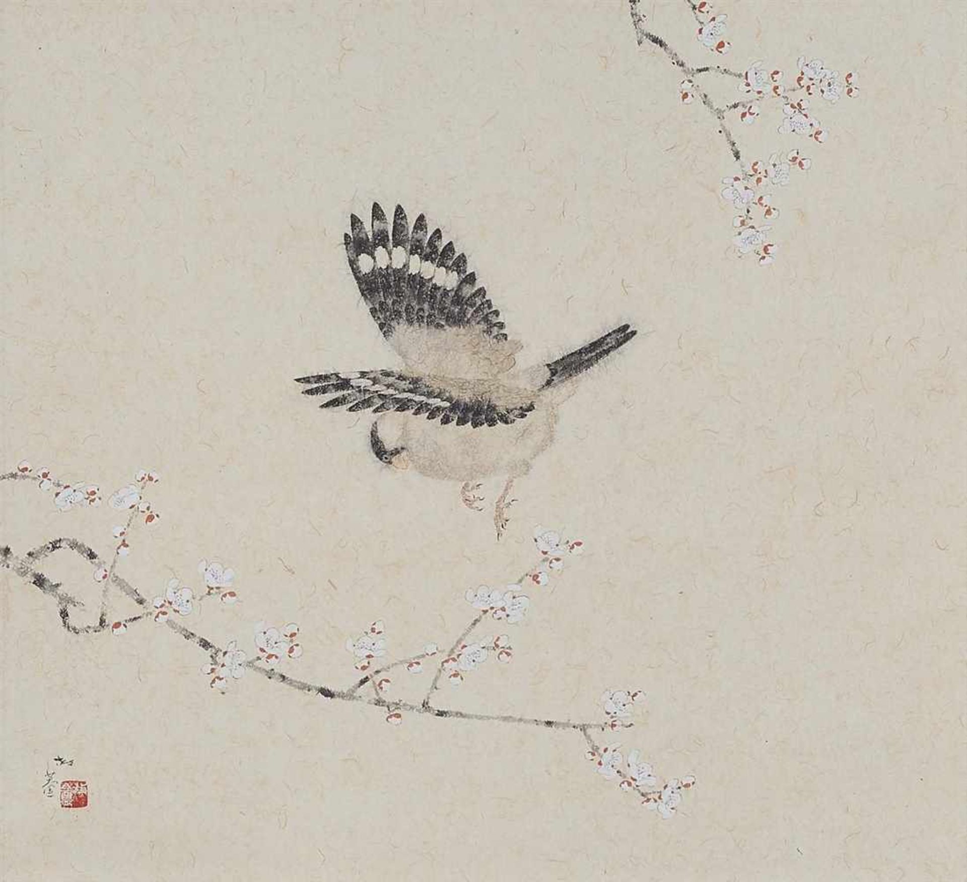 Kosugi Hôan (1881-1964)Hängerolle. Sittich im Flug über weiß blühenden Pflaumenblüten. Tusche und