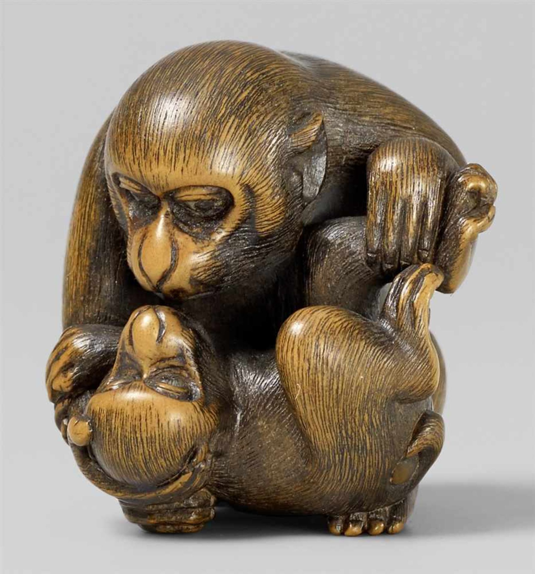 A boxwood netsuke of a monkey and young. Mid-19th century