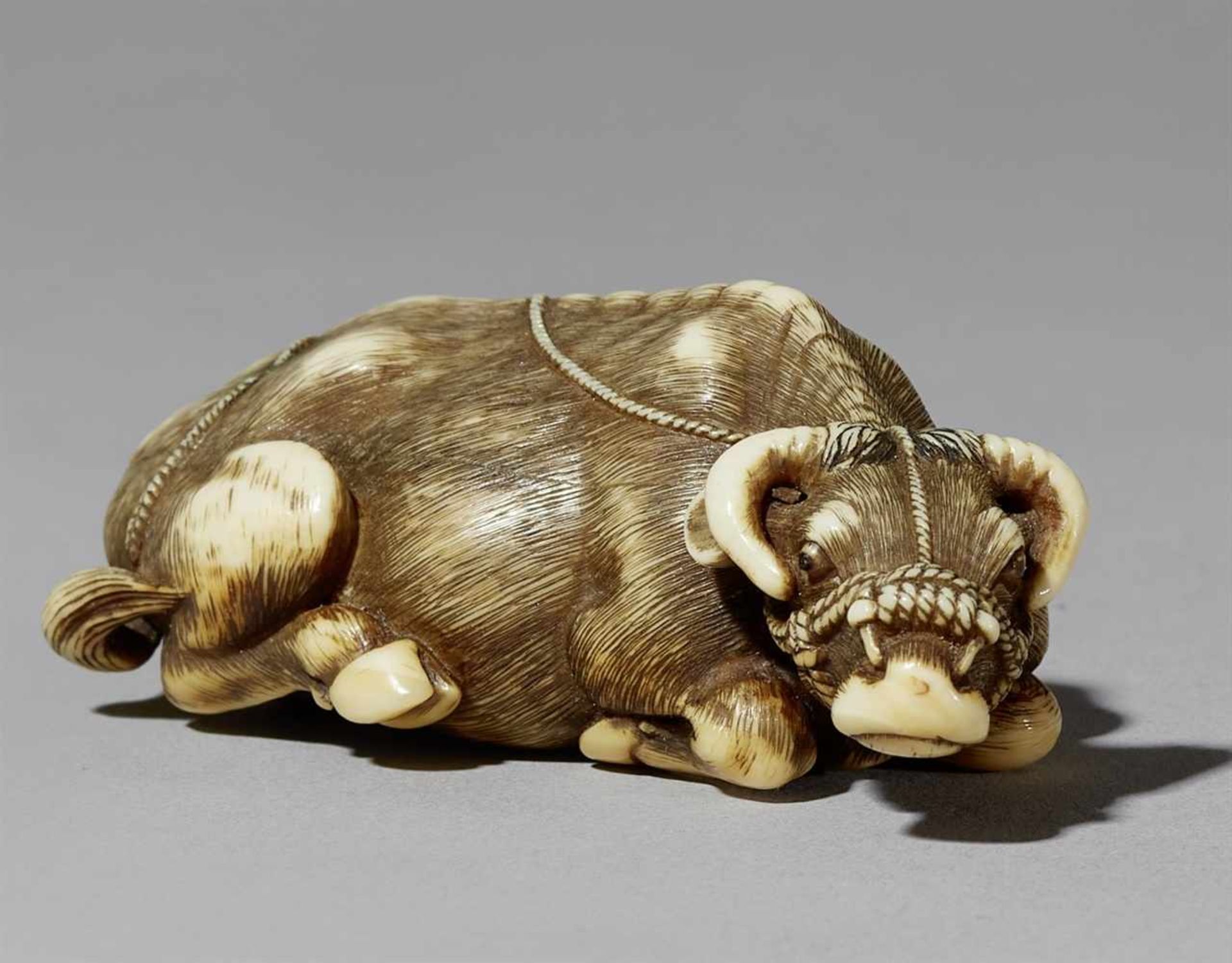 An ivory netsuke of a recumbent ox. Early 19th century