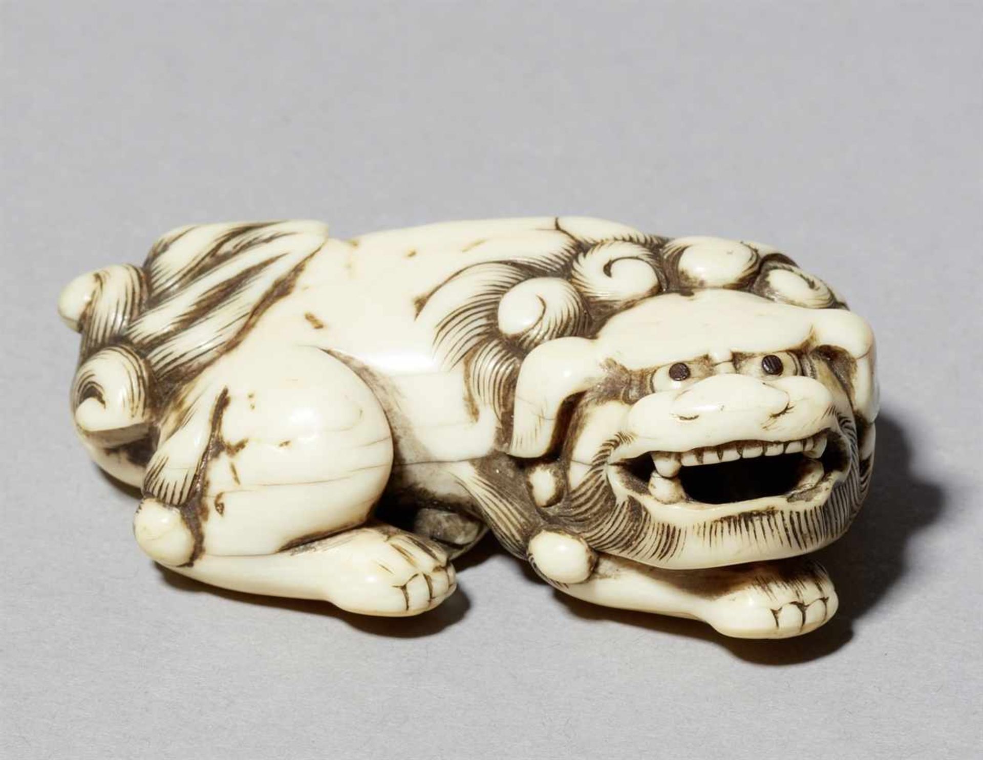 An ivory netsuke of a shishi. 18th century