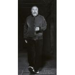 Ai WeiweiWo ist die Revolution?