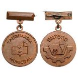 National Trade Union of Workers of Education-Science-Sports Badge for Municipal Vanguard Member