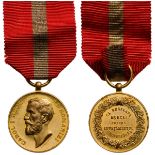 Reward for Teaching Medal - Professional School, 1st Class, instituted in 1906Â