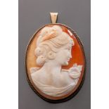Shell cameo brooch in silver-gilt