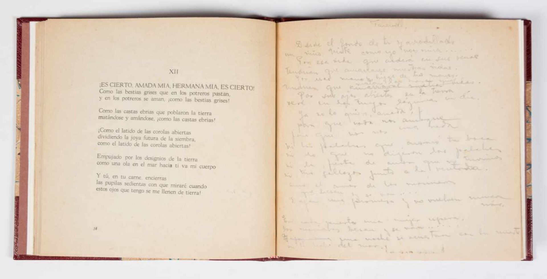 Neruda, Pablo. "El hondero entusiasta". 1st edition. Santiago de Chile. Published by Imprenta - Bild 5 aus 6