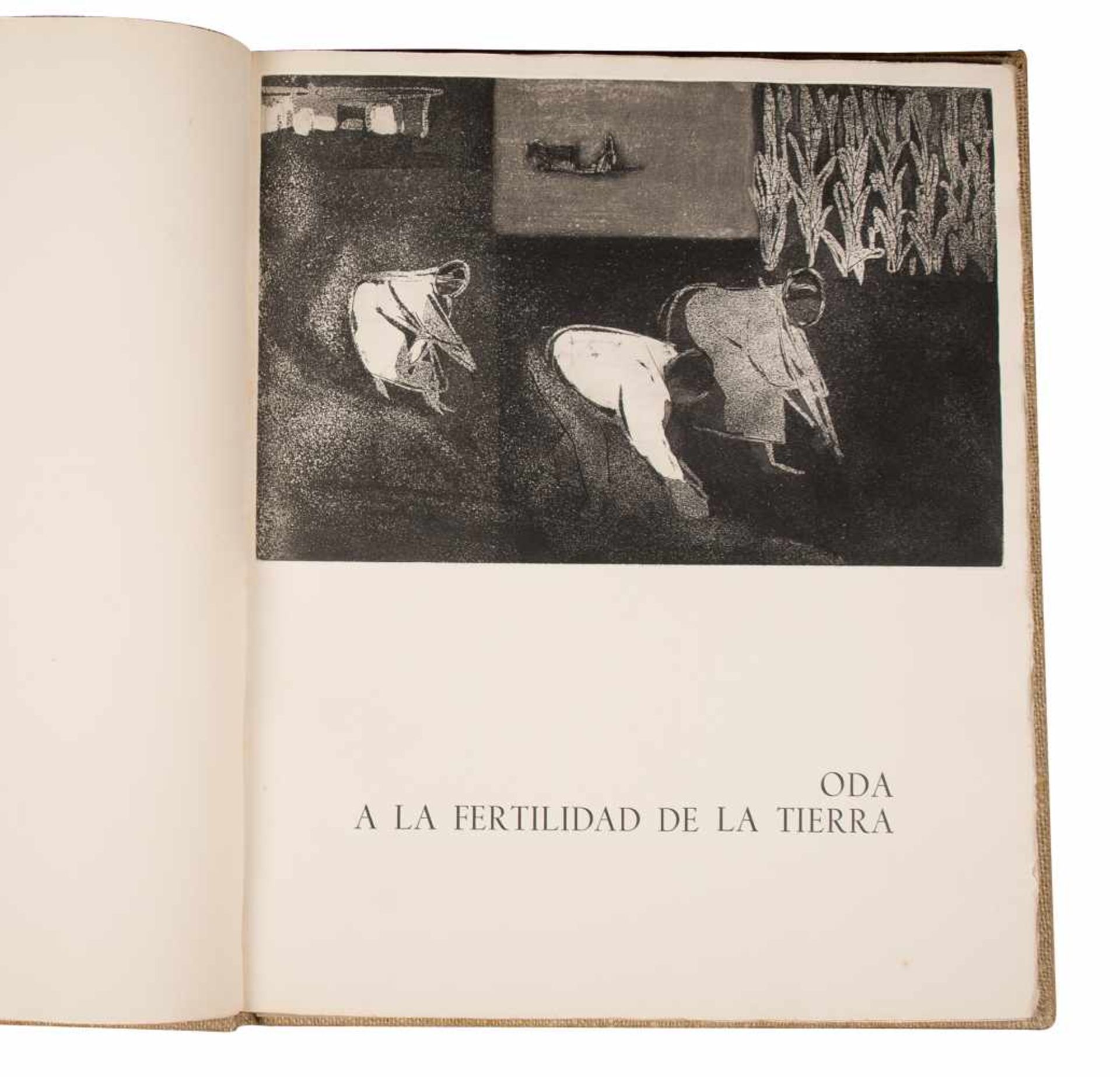 "Diez odas para diez grabados (Ten odes for ten prints)." Neruda, Pablo and Bru, Roser. 1st edition, - Bild 9 aus 12