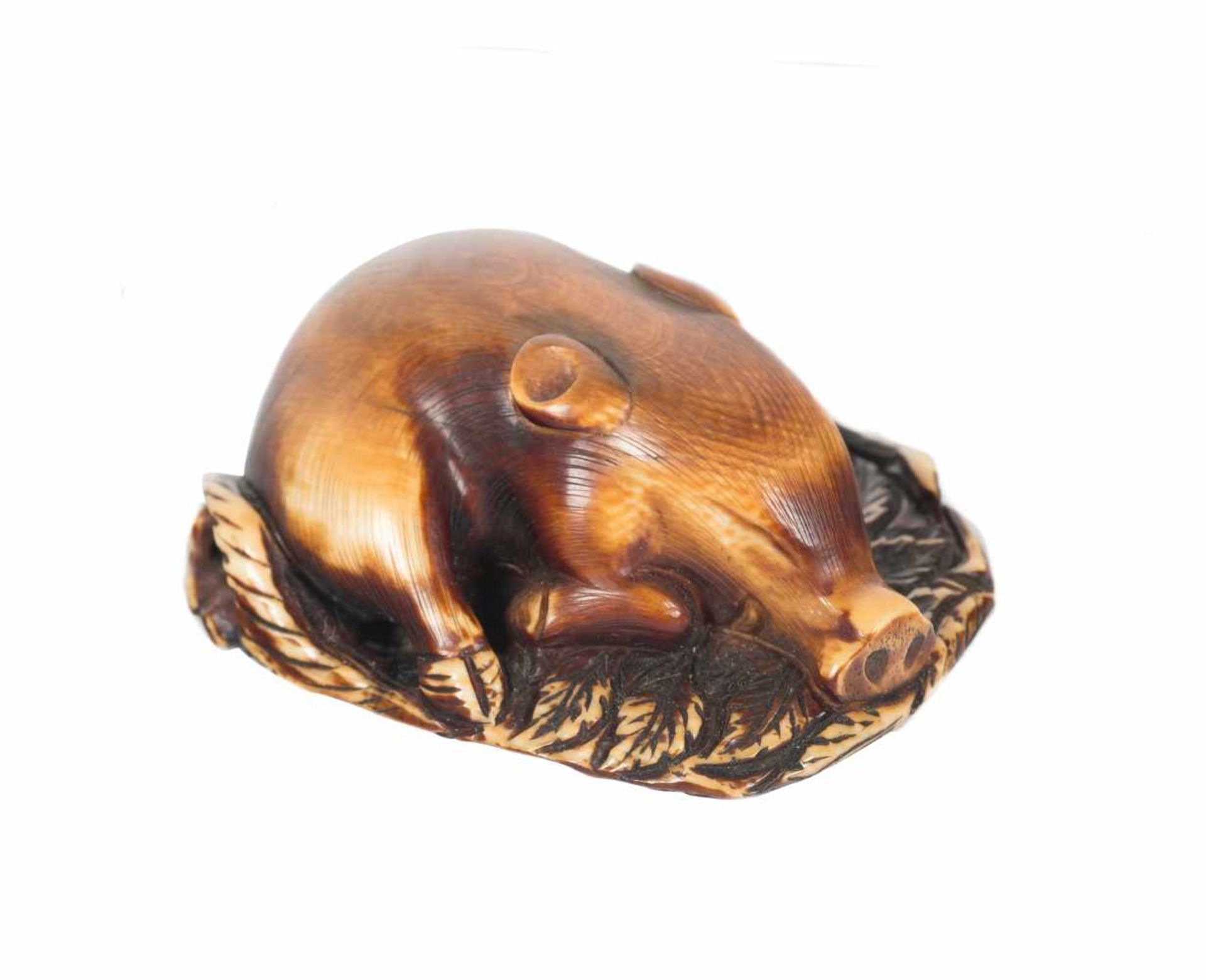 An ivory netsuke of a recumbent wild boar. Kyoto school. Edo period. 18th century. Signed Masan