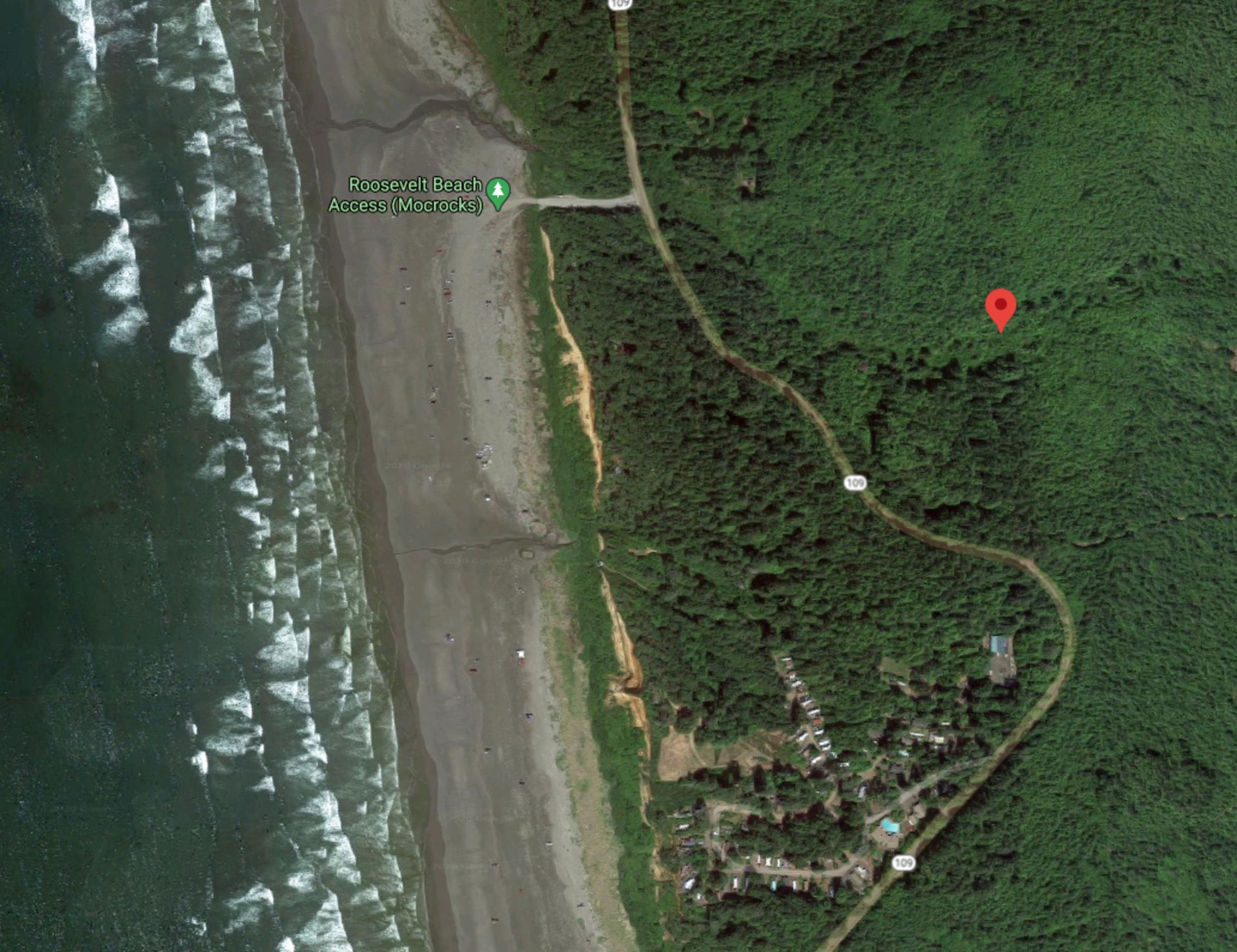 1/4 Mile from the Pacific Ocean Beach! Enjoy Grays Harbor, WA - Image 4 of 5