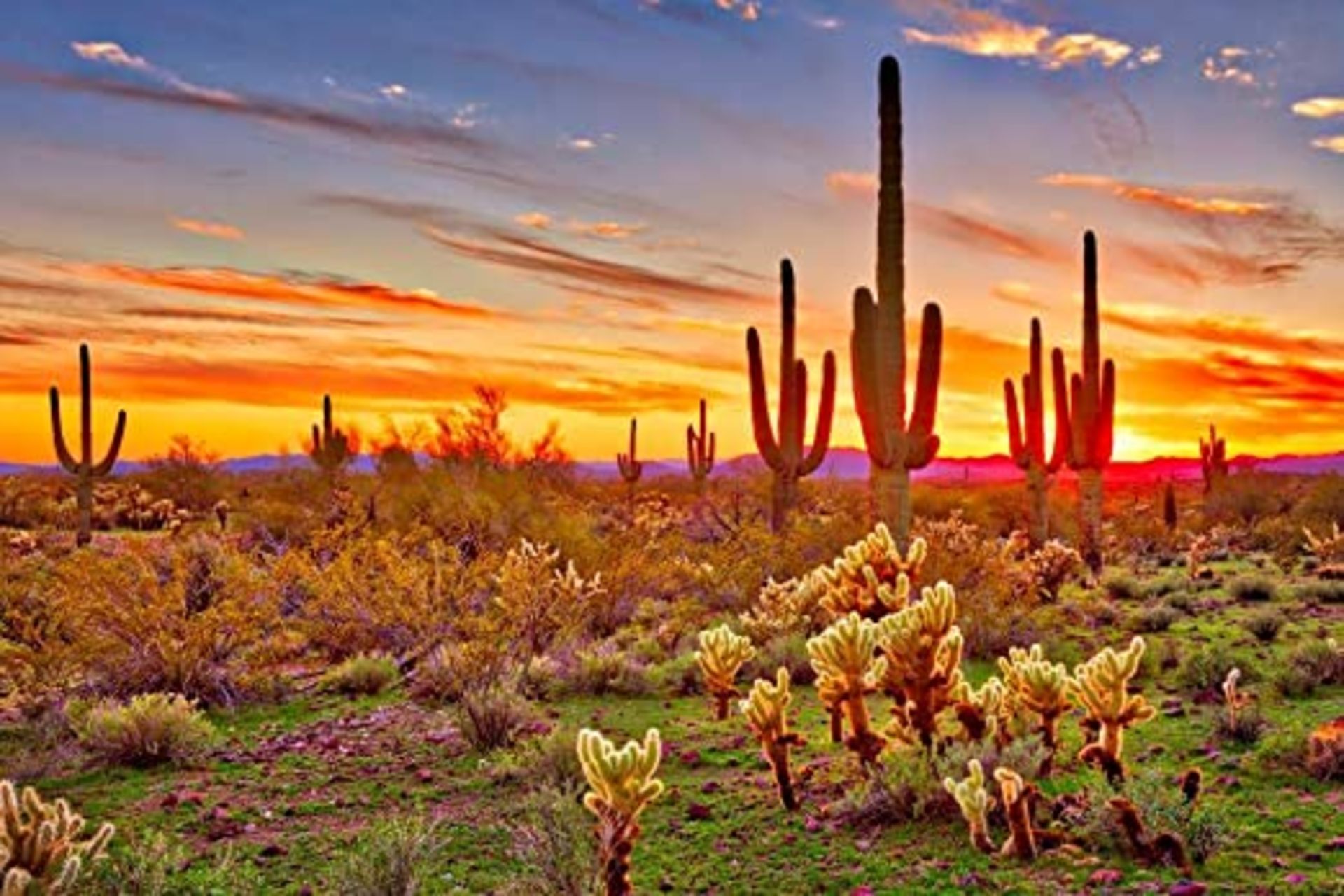 Mesmerizing Cochise County, AZ!