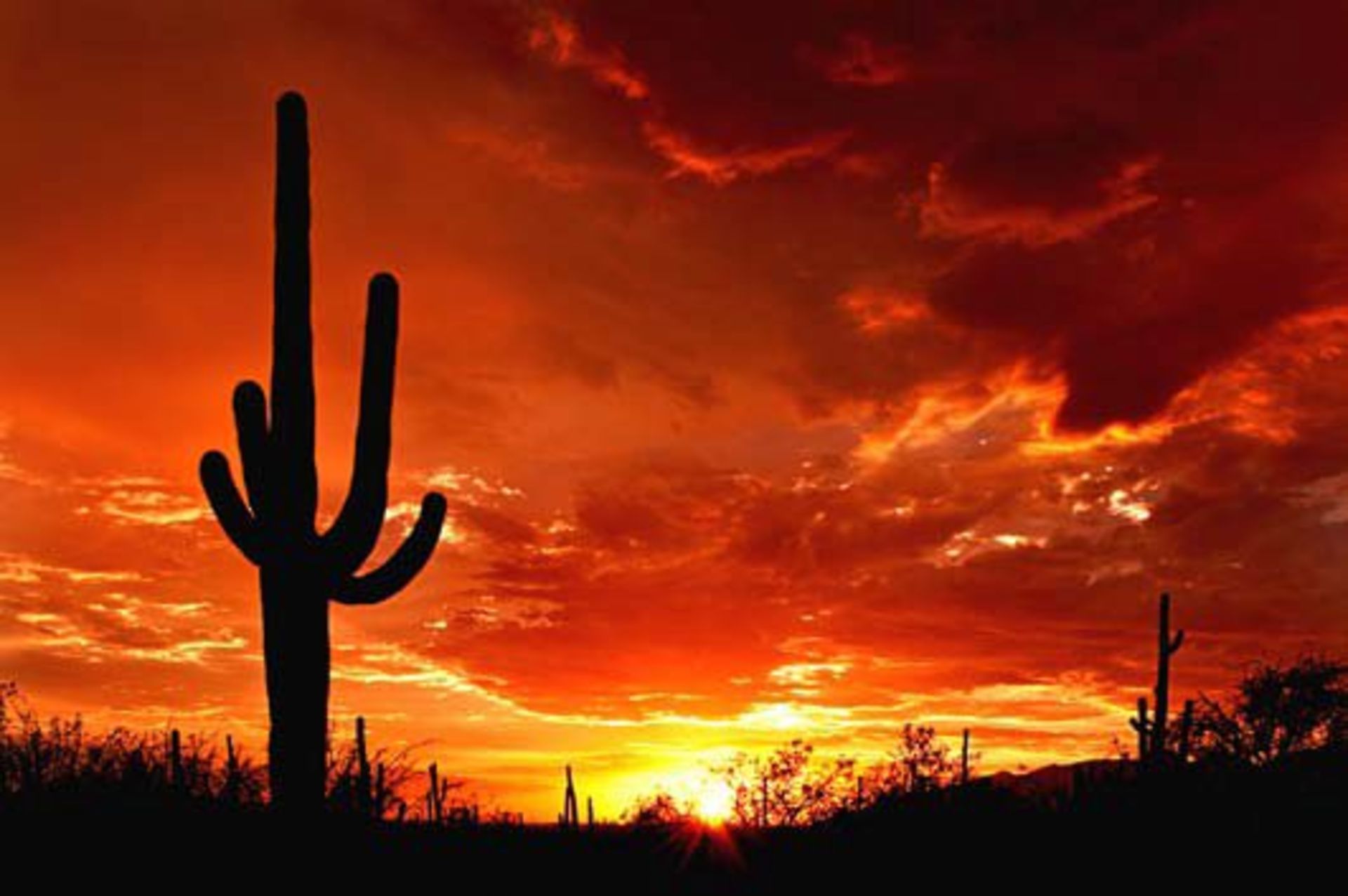 Twin Lakes Country Club in Cochise County, Arizona