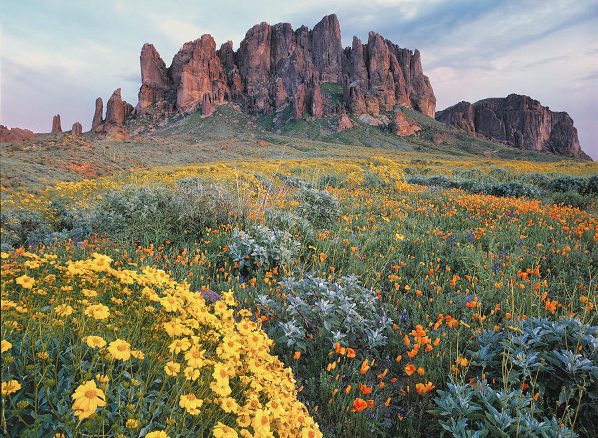 Beautiful Views in Navajo County, Arizona!