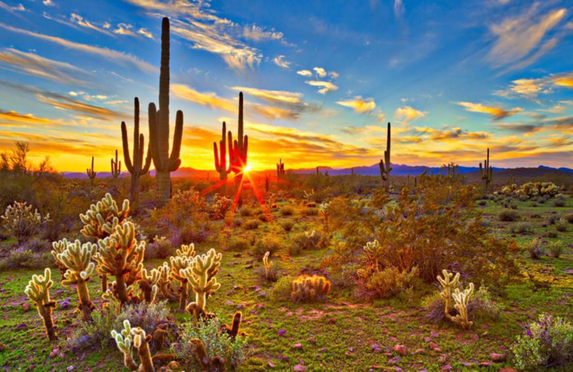 Southern Arizona Hospitality!