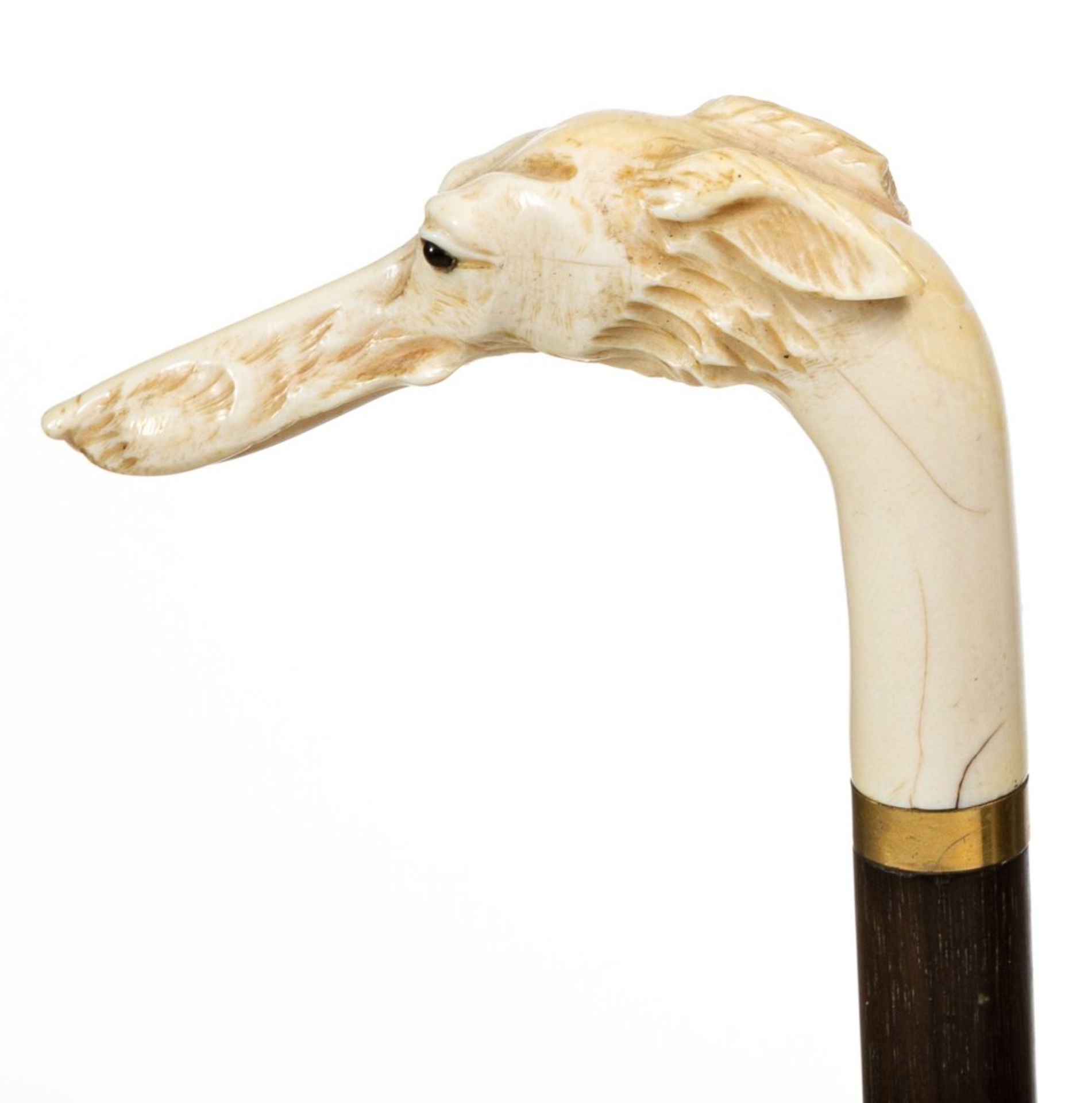 Spazierstock mit dem Kopf eines Windhundes2. H. 19. Jh.Elfenbein, plastisch geschnitzt, mit