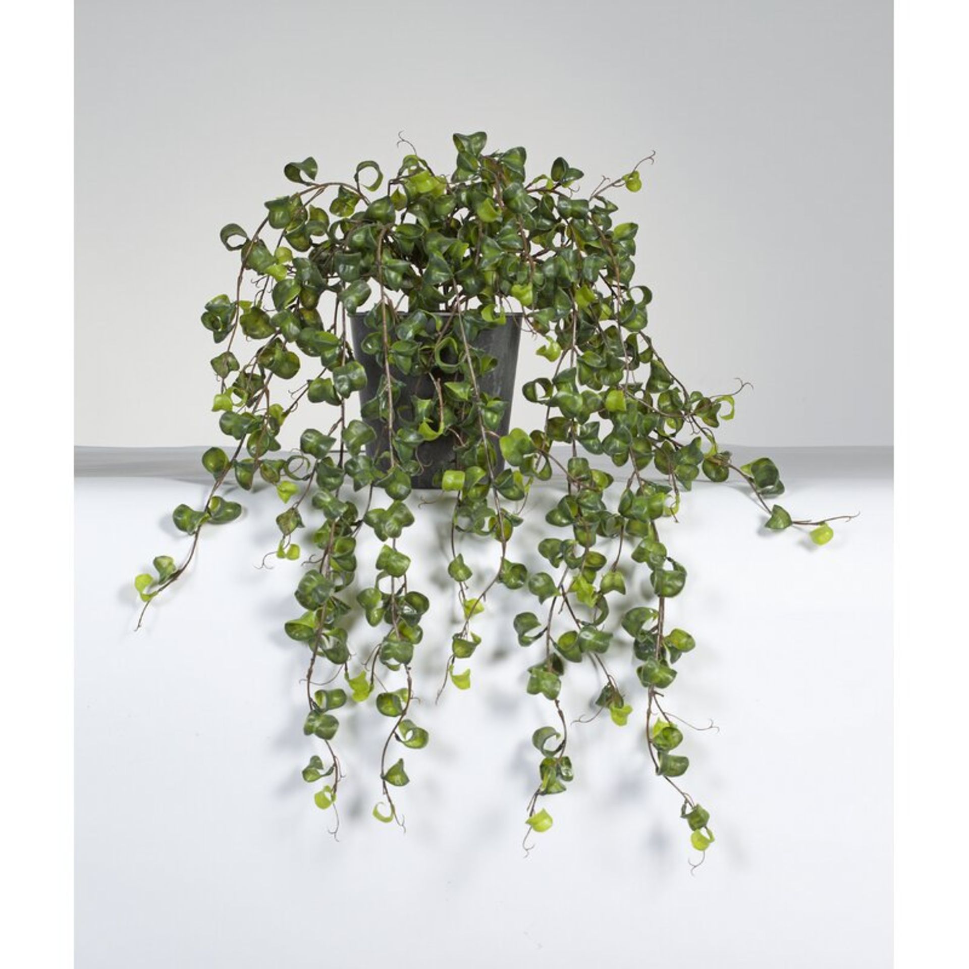 65cm Artificial Foliage Plant in Pot - RRP £61.99 - Image 2 of 2