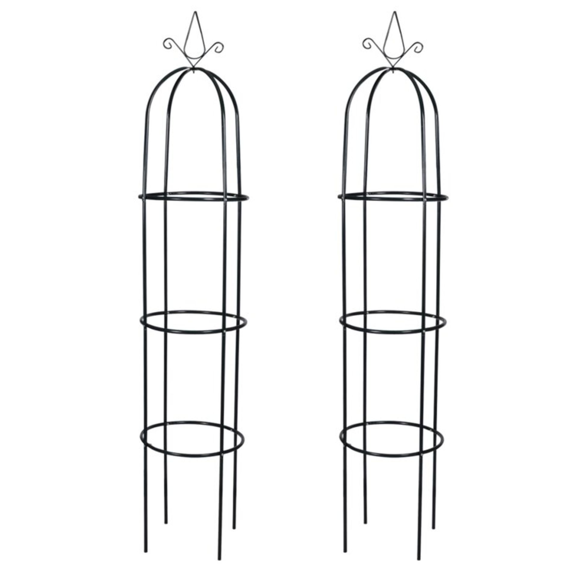 Rose Arches (Set of 2) - RRP £33.99