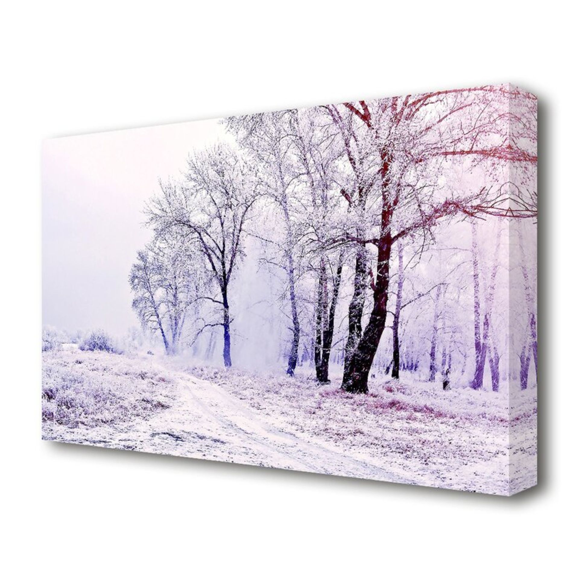 Beautiful Snowy Forest Landscape' Photographic Print on Canvas - RRP £24.99