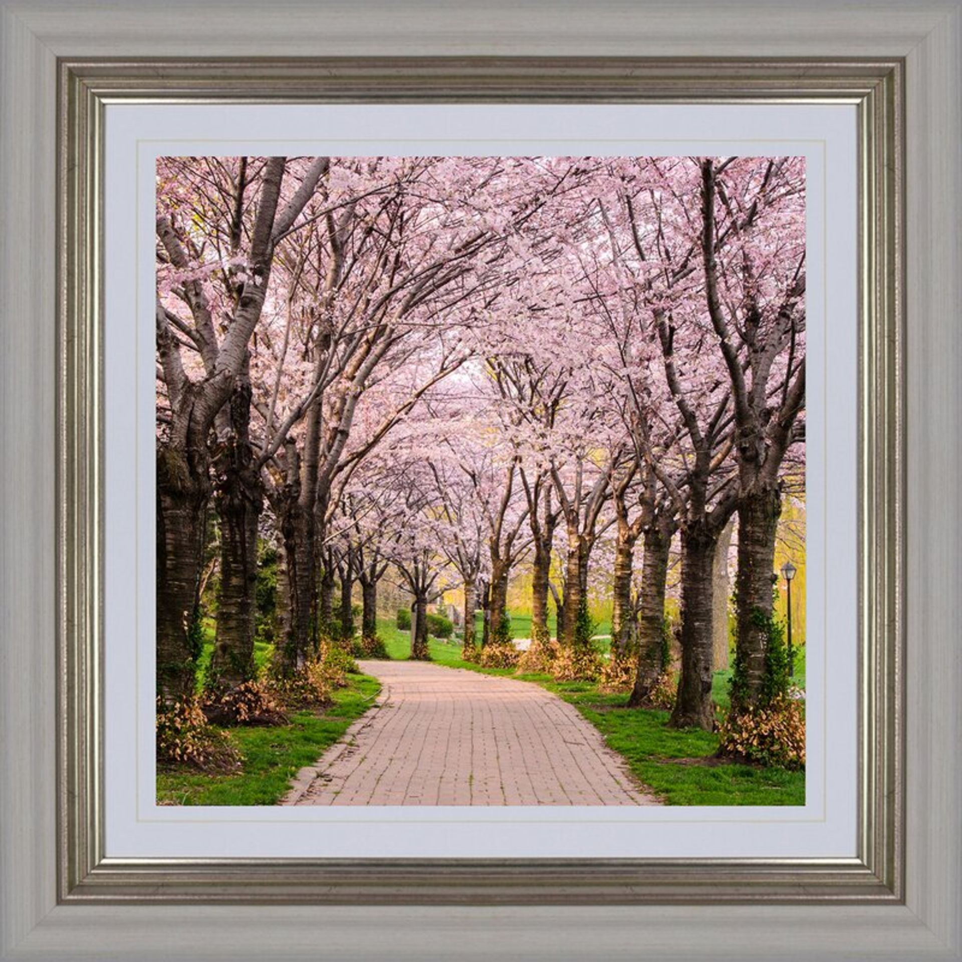 CHERRY BLOSSOM TRAIL' FRAMED PHOTOGRAPHIC PRINT - RRP £120