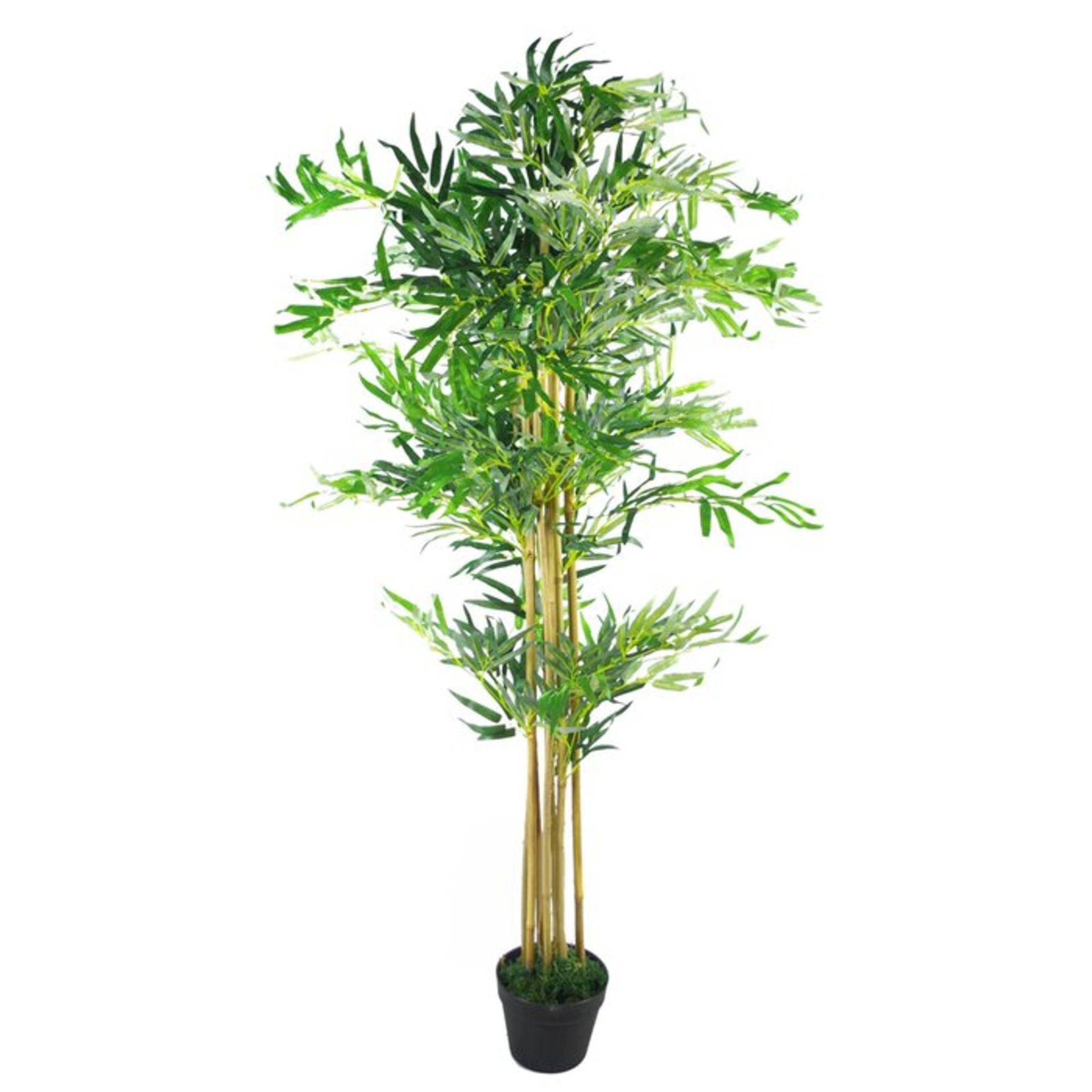 Artificial Bamboo Freestanding - RRP £104.99