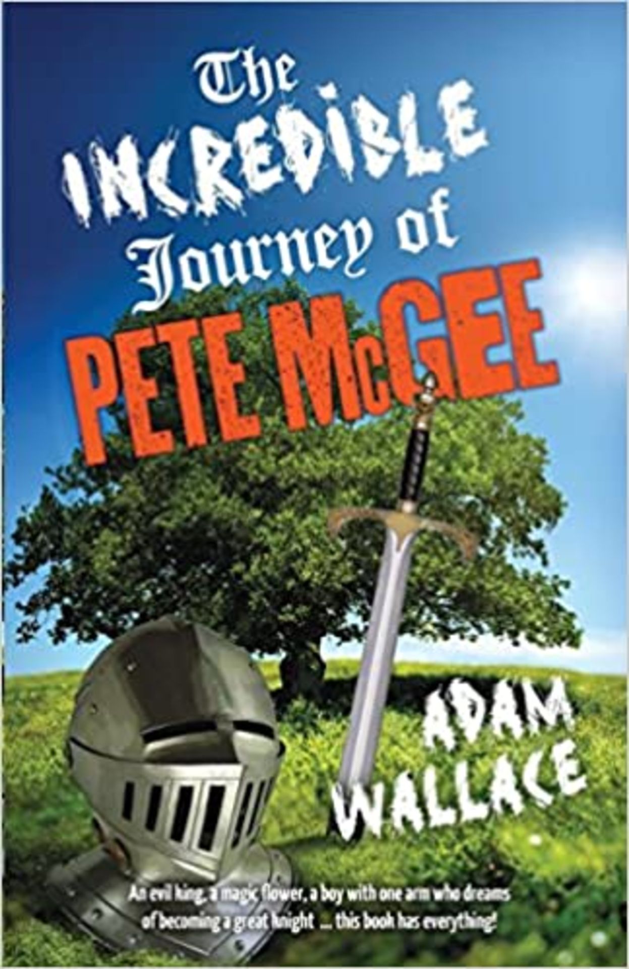 Incredible Journey of Pete McGee Paperback - RRP £10.95
