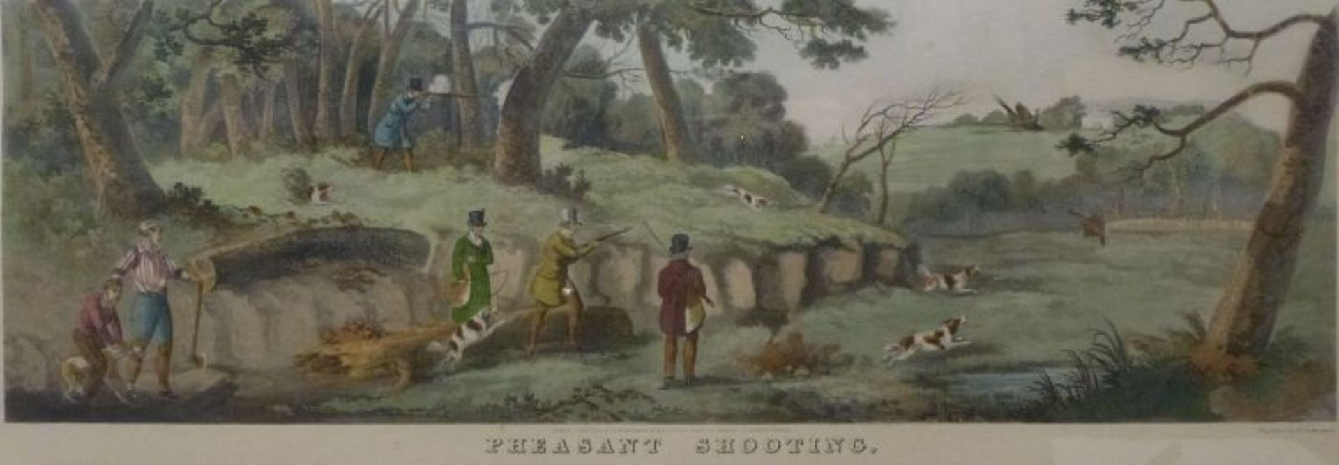 "Pheasent Shooting"