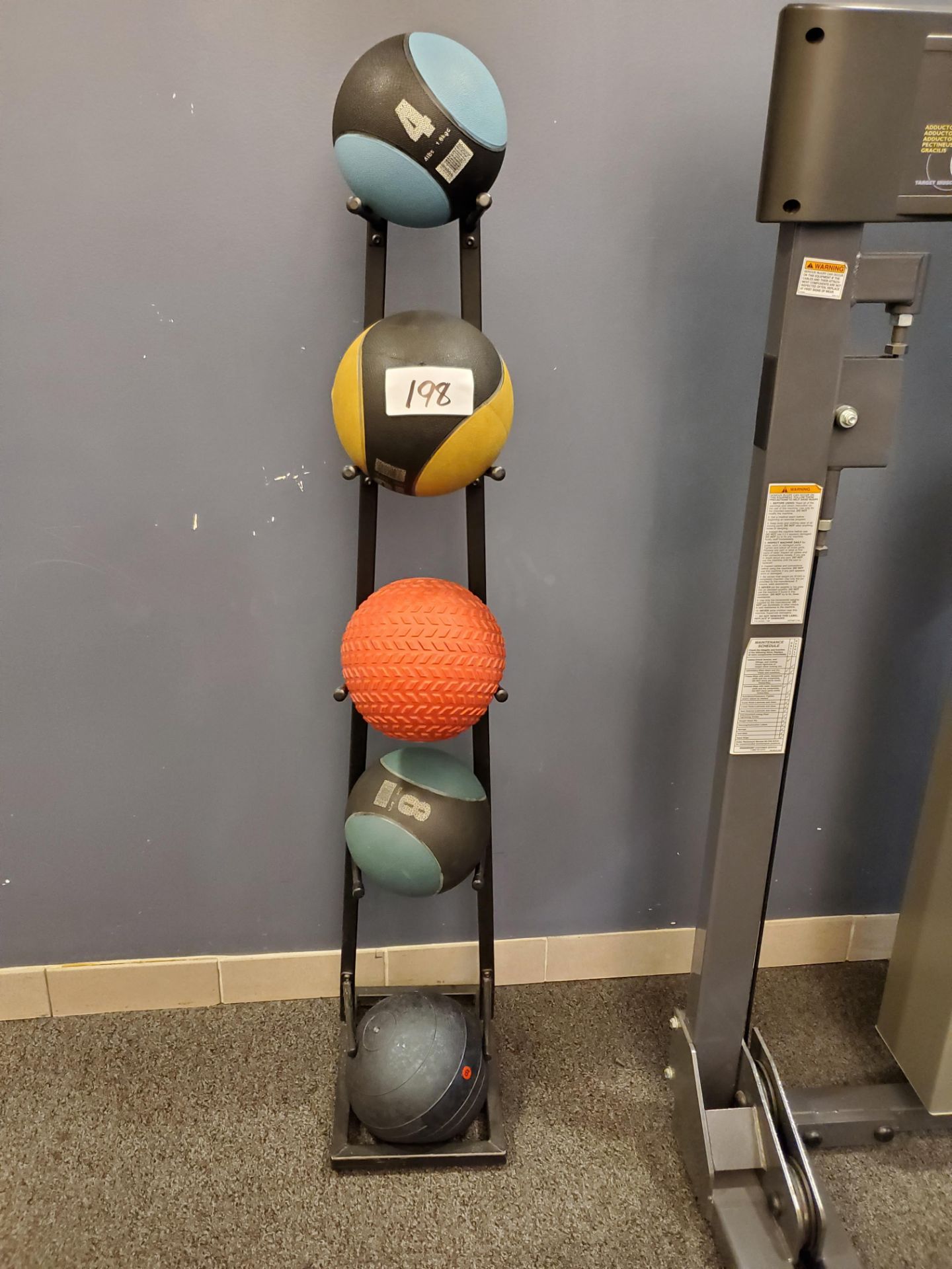 Lot of Medicine Balls w/ Stand