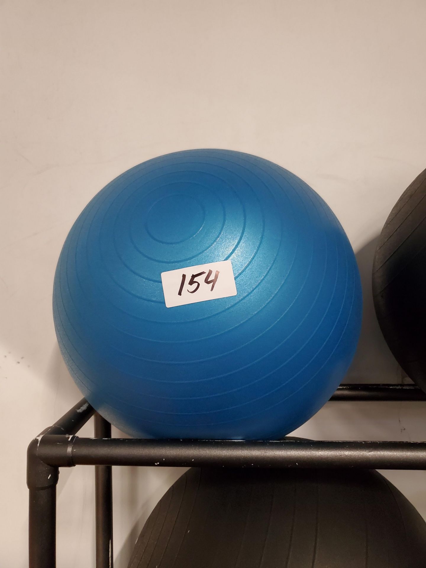 Exercise Ball