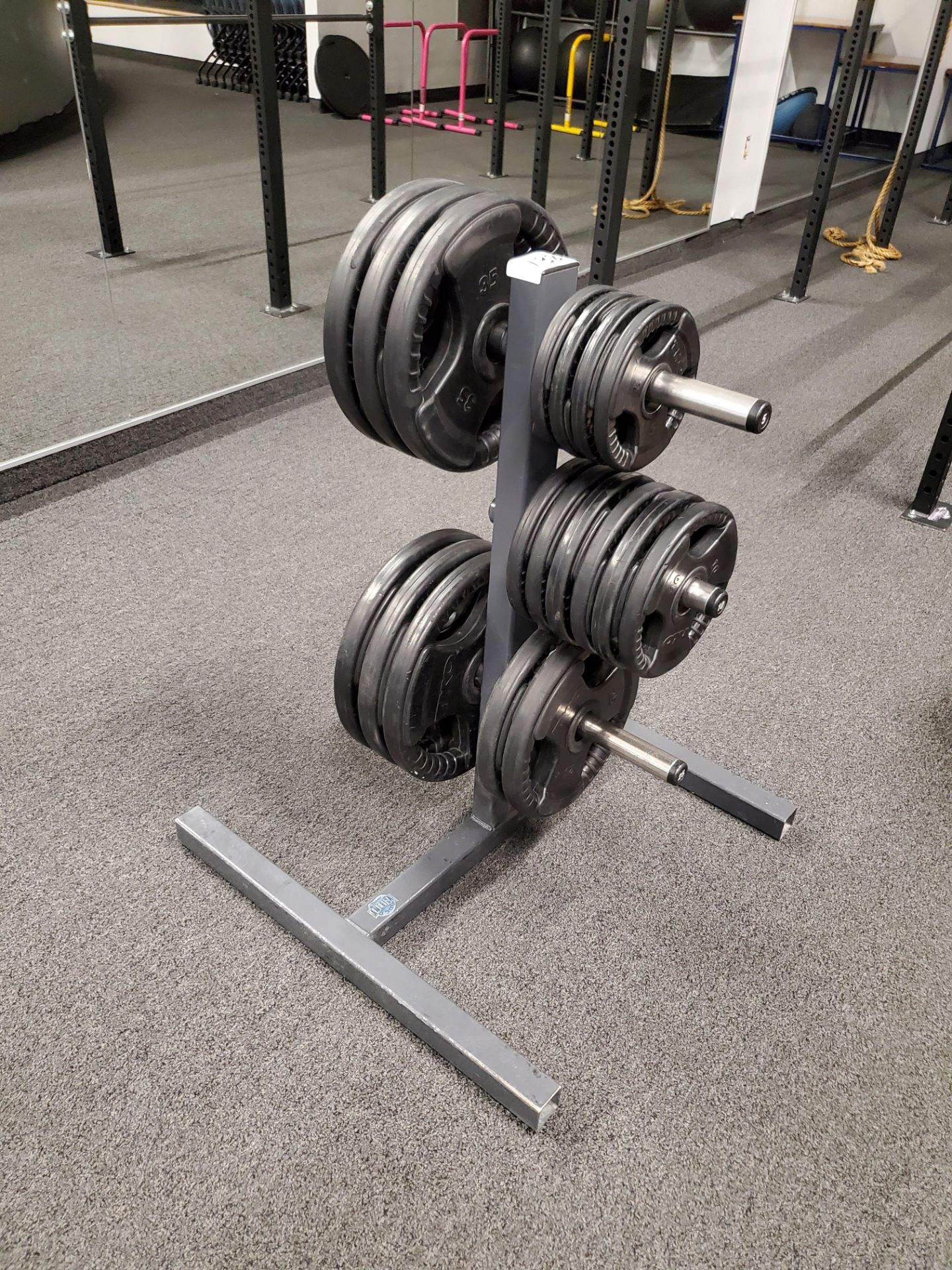 Paramount PFW-6300 Weight Plate Tree