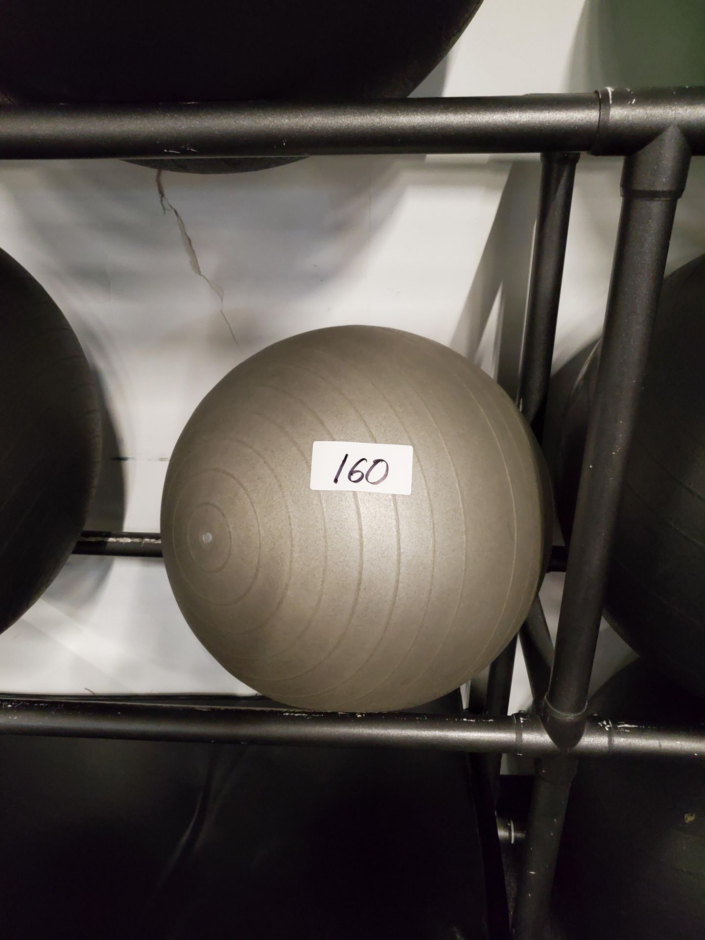 Exercise Ball