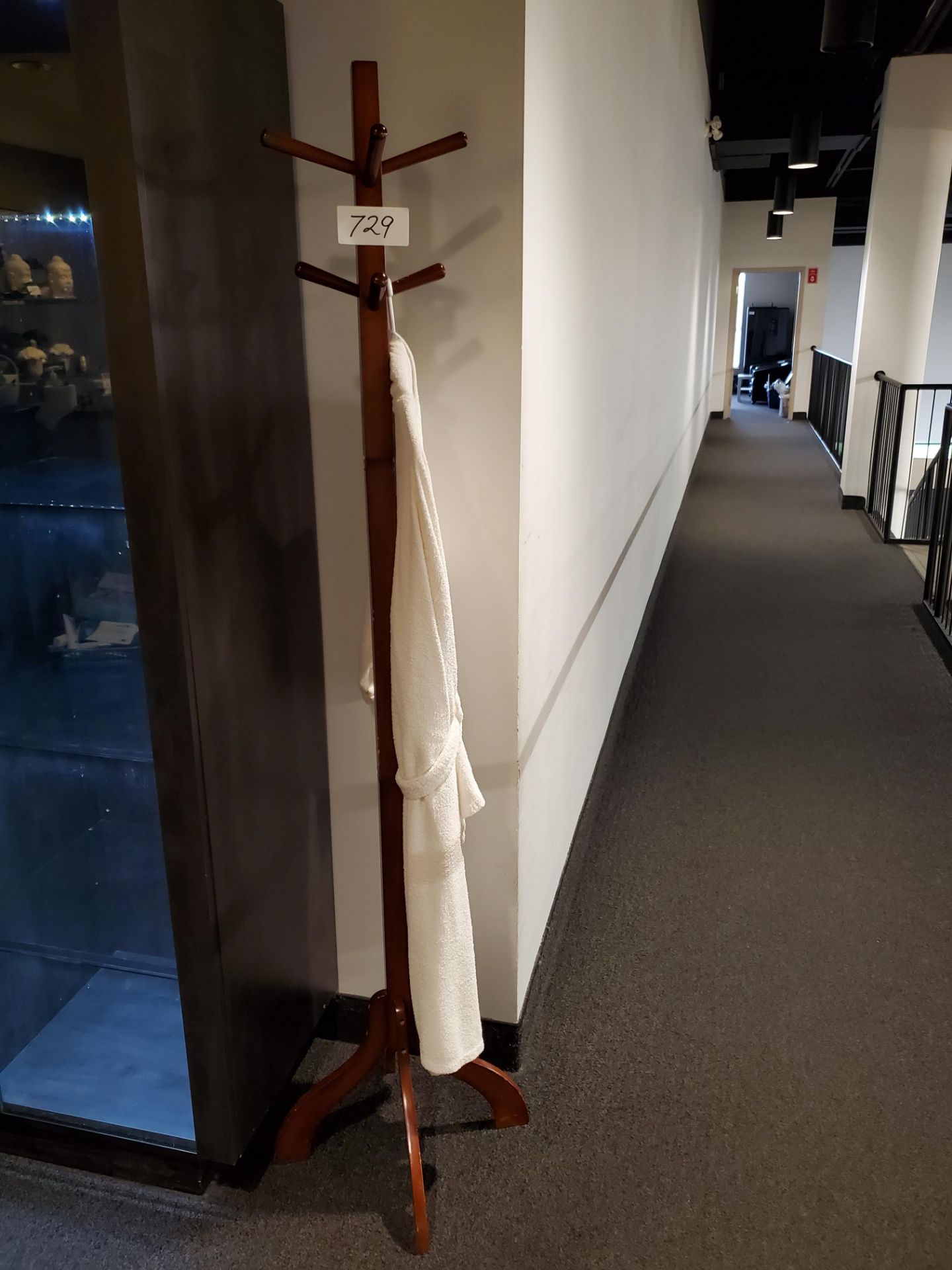 Coat Rack w/ Robe