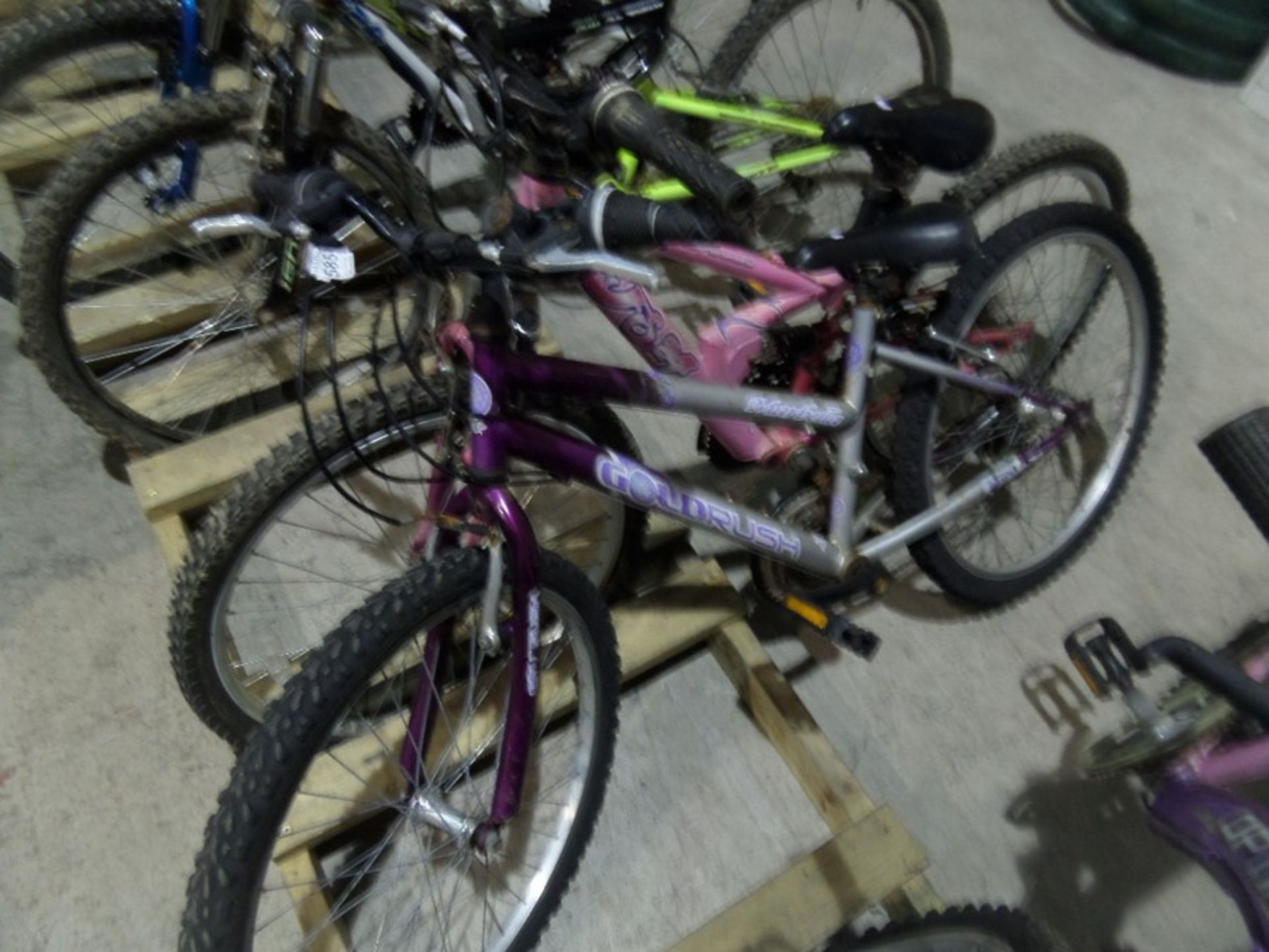 PURPLE MOUNTAIN BIKE