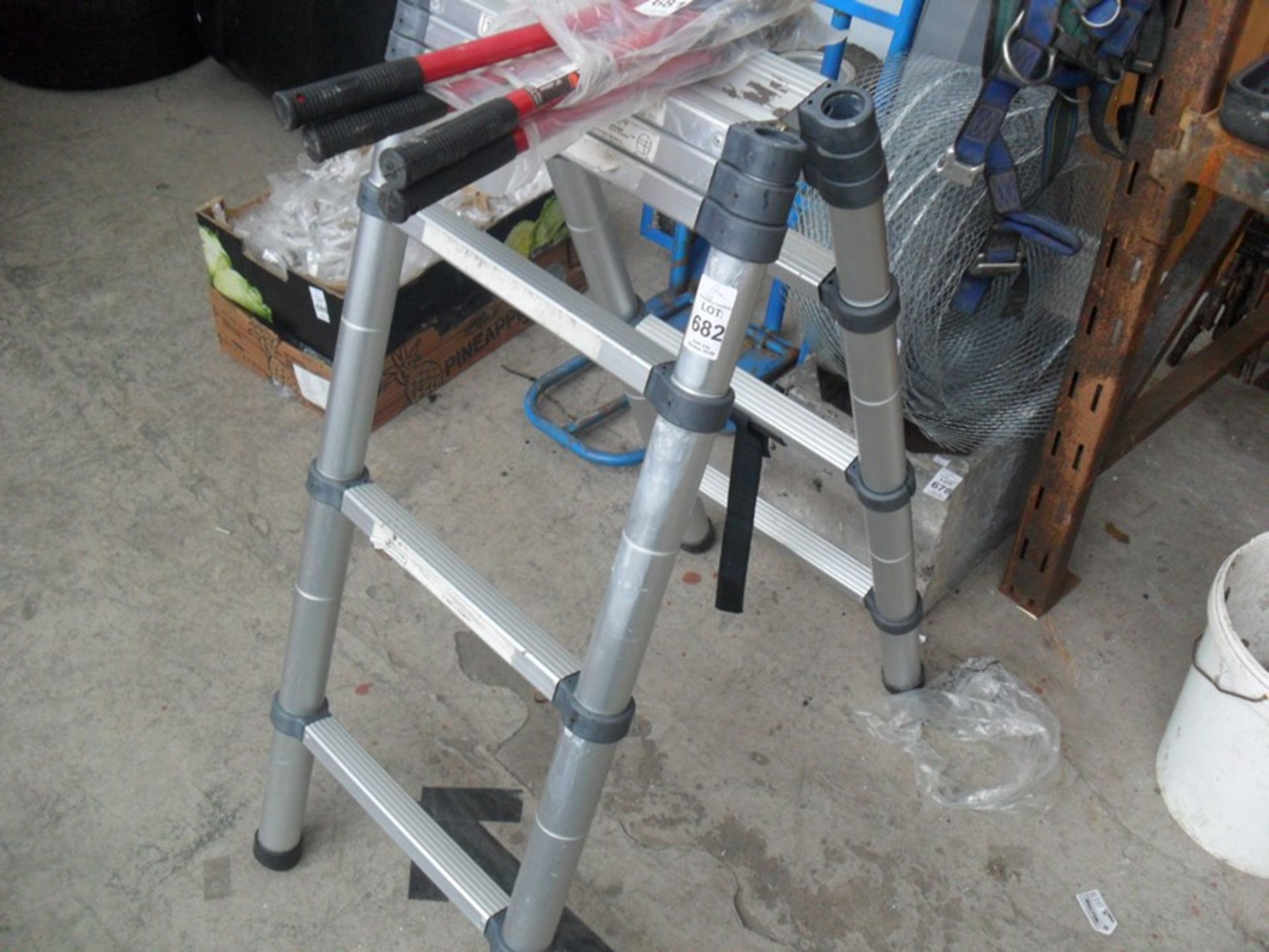 EXTENDABLE LADDER