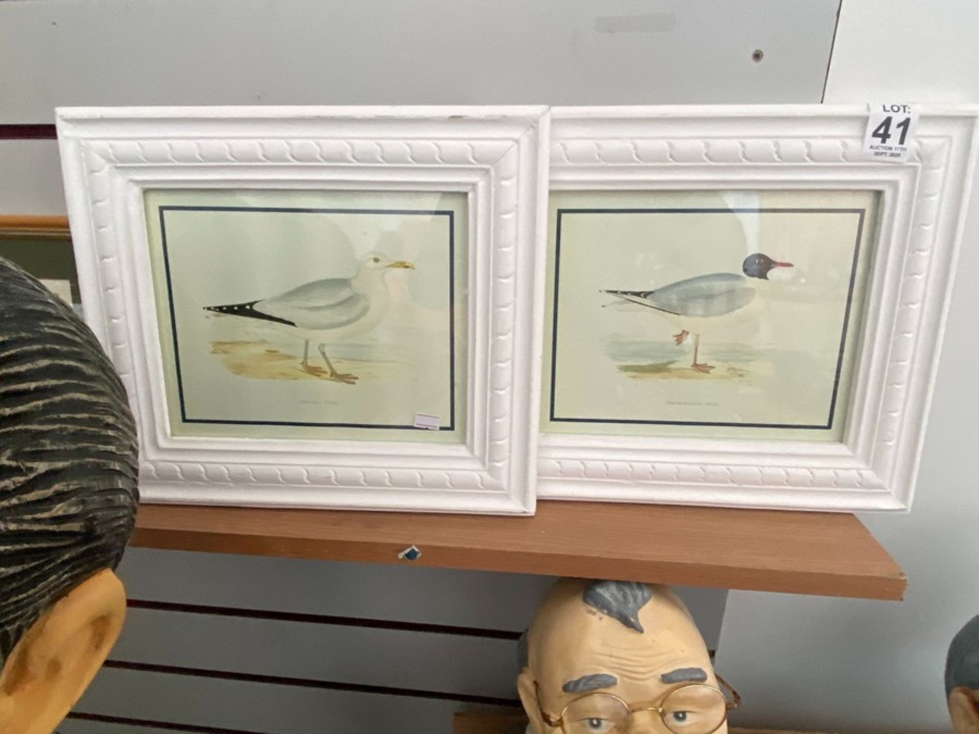 2 FRAMED GULL PRINTS