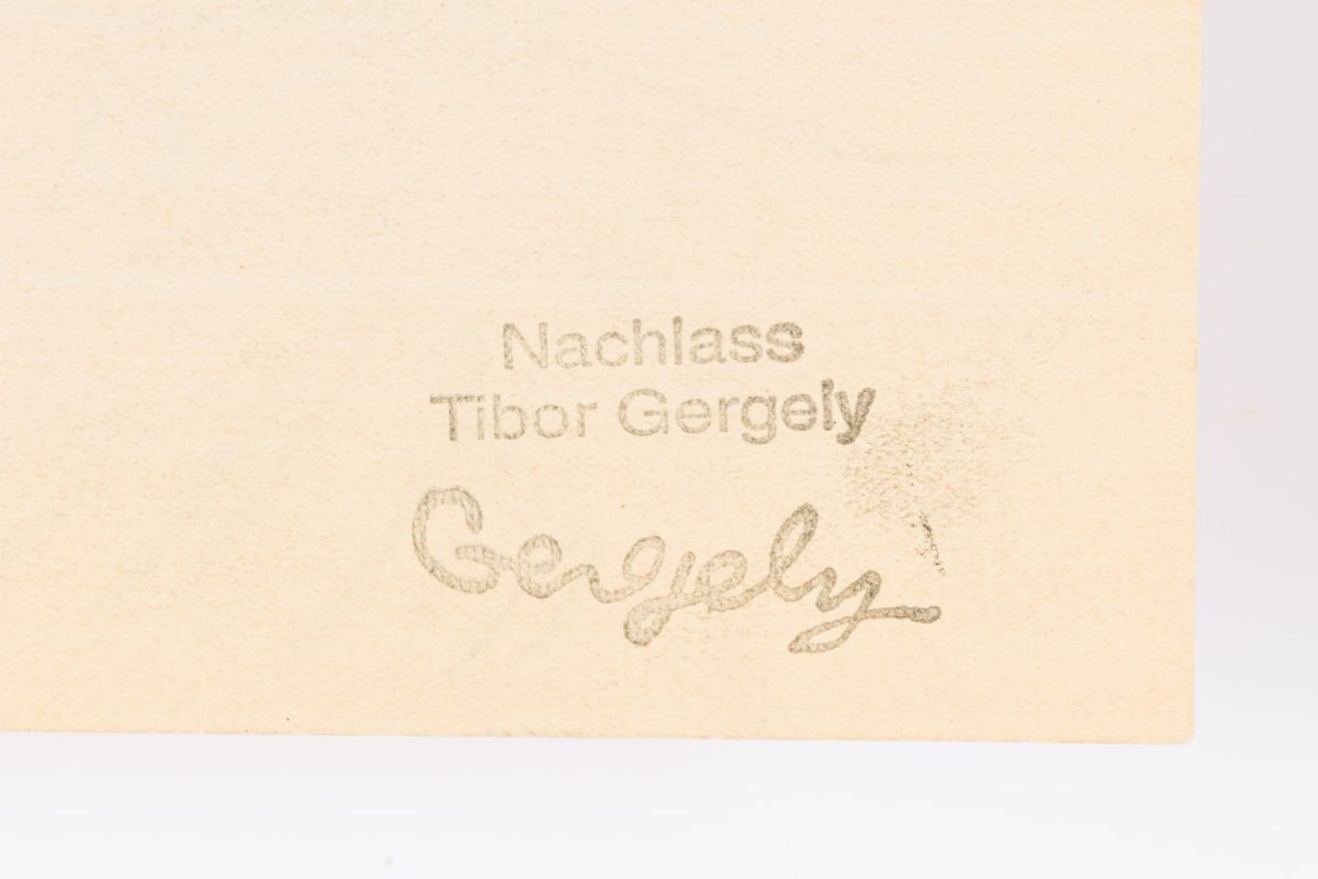 Harta Felix Albrecht , Hessing Gustav , Gergely Tibor - Image 6 of 18