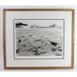 Polar Exploration, 20 x 15" photograph 'Mosaic of small pancake floes', Scotts Expedition 1911,